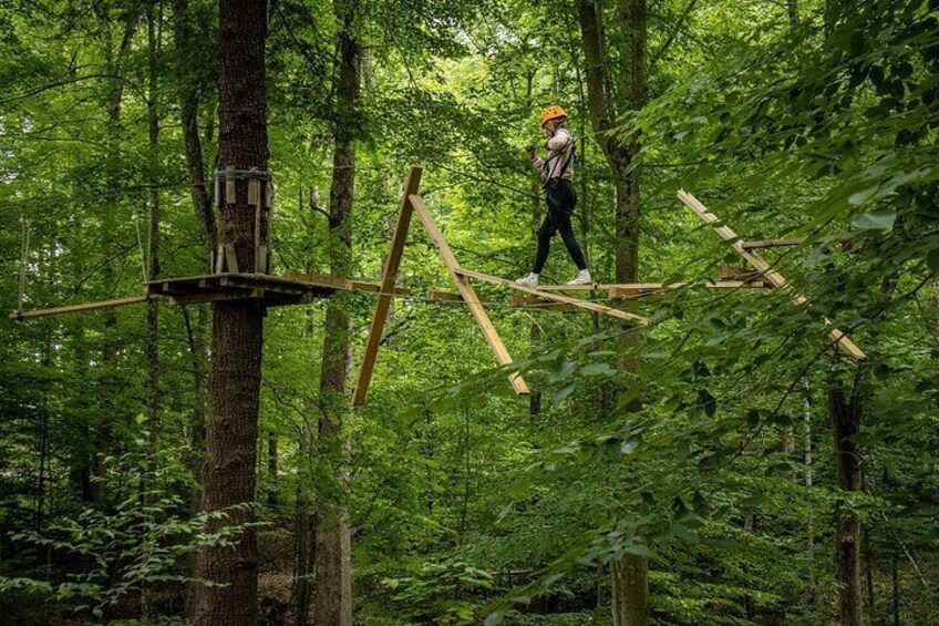 TimberTrek Treetop Challenge Adventure 3