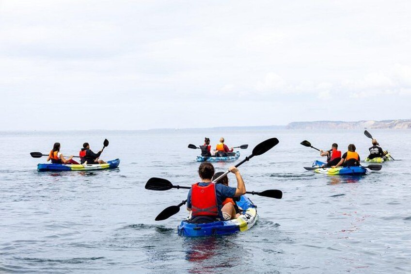 Boomshaka Kayak Tours 2