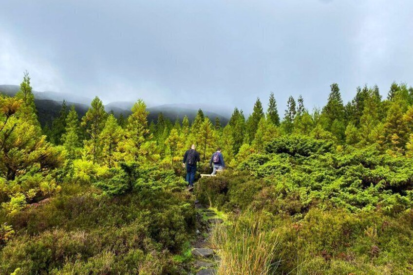 Una persona caminando por un sendero boscoso, con vegetación densa y cielo nublado. 1