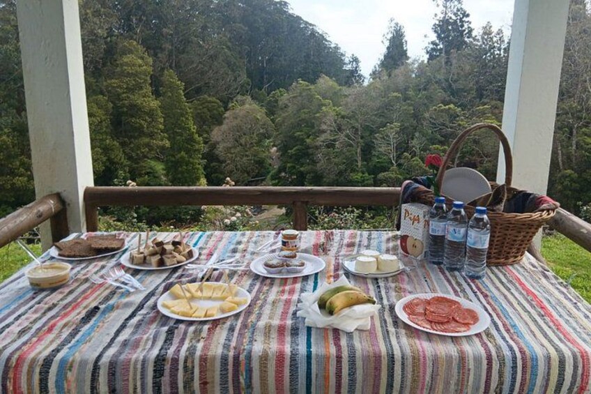 Een picknicktafel met diverse etenswaren en een mand op een balkon met uitzicht op een bos. 2