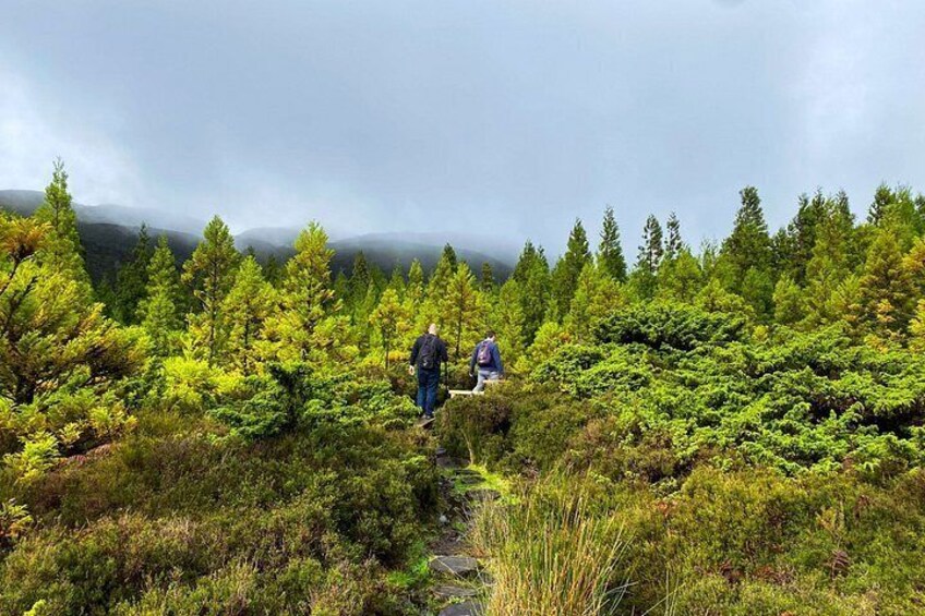 Terceira Island: Mistérios Negros Hike + Picnic + Biscoitos 2