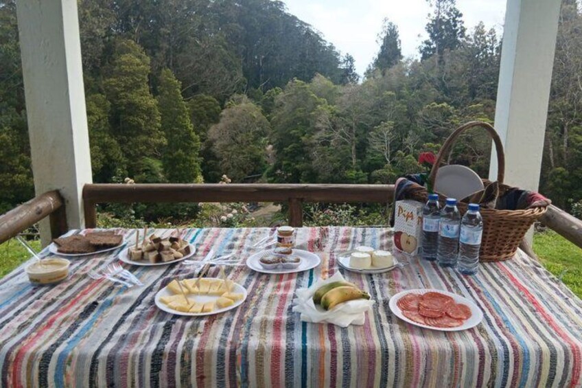 Una mesa de picnic con comida y bebidas, rodeada de un paisaje boscoso. 3