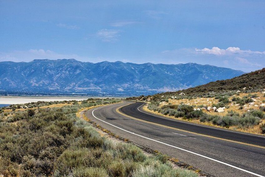 Antelope Island Wildlife Expedition Great Salt Lake Adventure 2