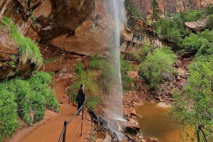 Zion National Park PRIVATE Full Day Insider Tour 5