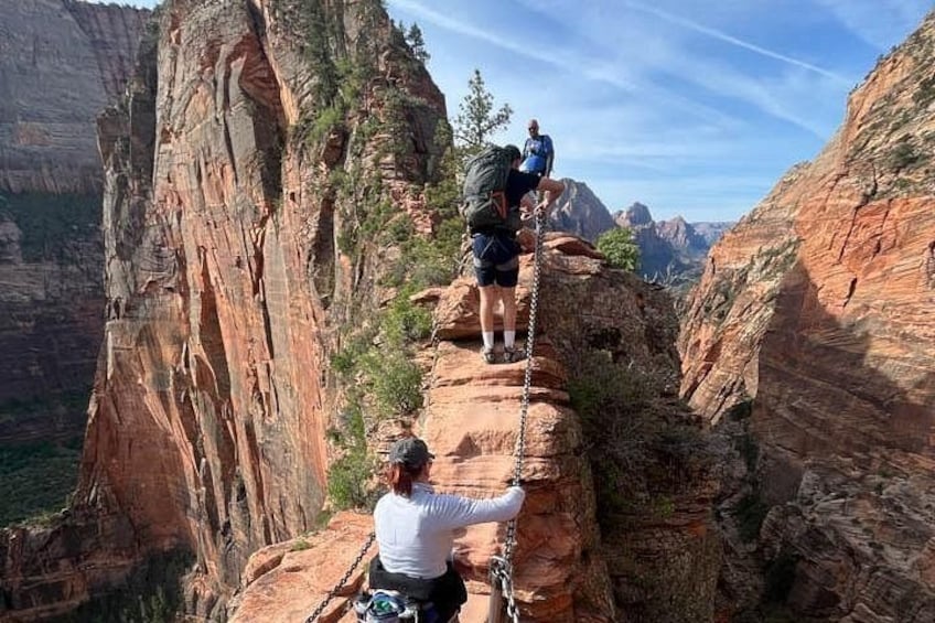 Zion National Park PRIVATE Full Day Insider Tour 4