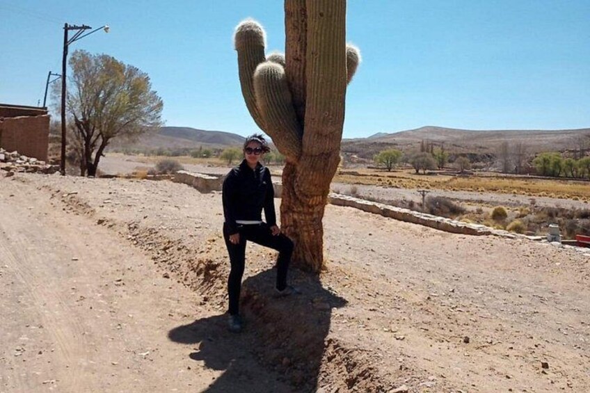 Eine Person steht neben einem großen Kaktus in einer Wüstenlandschaft mit spärlicher Vegetation und fernen Hügeln. 2
