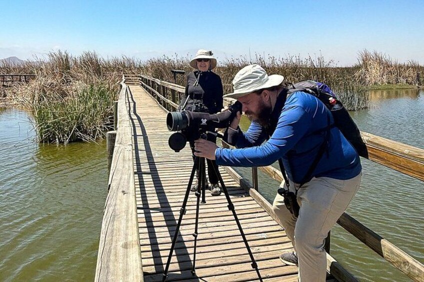 A wooden boardwalk by a body of water with tall grasses. 1