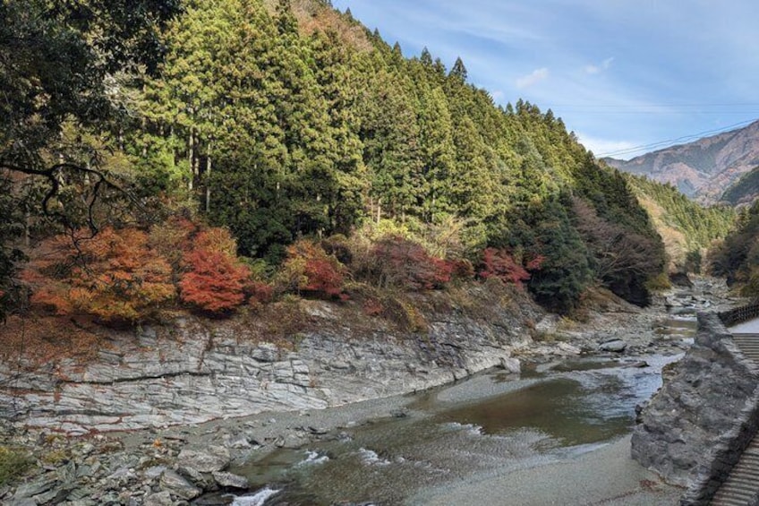 Kotohira: Kazurabashi Vine Bridge & Oboke Gorge Shuttle Bus (Iya) 3