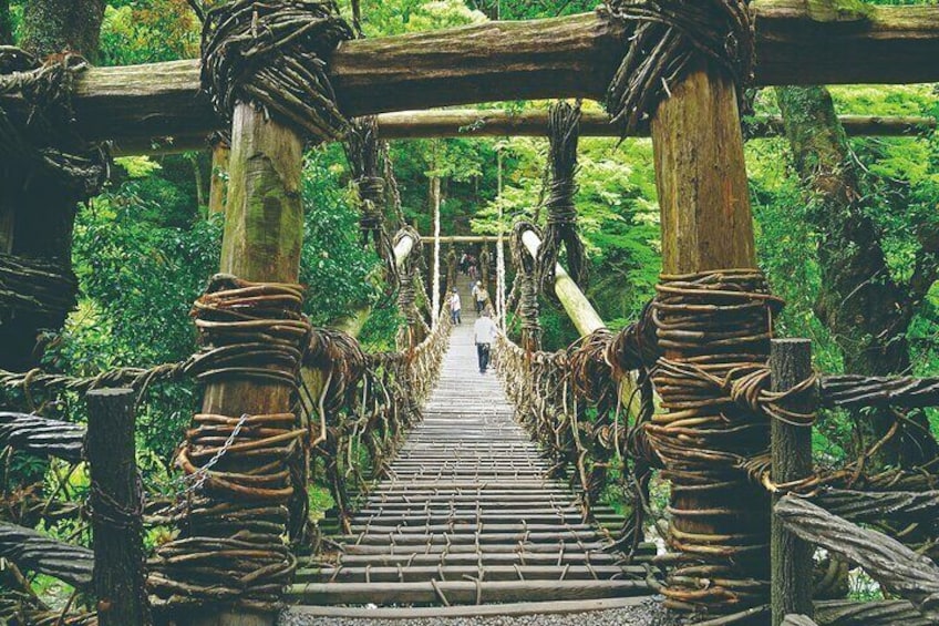 A wooden suspension bridge with ropes tied around the posts, surrounded by lush greenery. 1