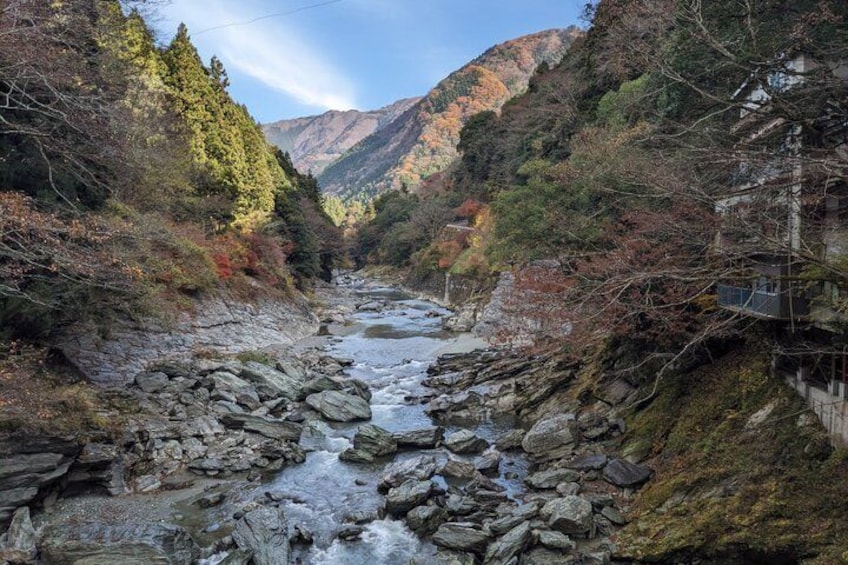 Kotohira: Kazurabashi Vine Bridge & Oboke Gorge Shuttle Bus (Iya) 2