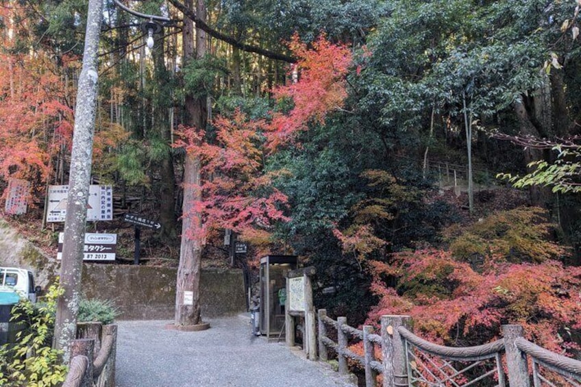 Kotohira: Kazurabashi Vine Bridge & Oboke Gorge Shuttle Bus (Iya) 5