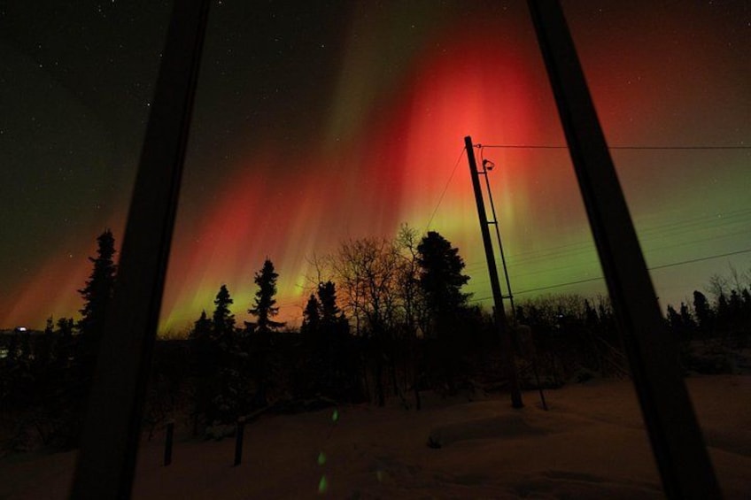 A night sky with the aurora borealis, trees, and a snow-covered landscape. 3