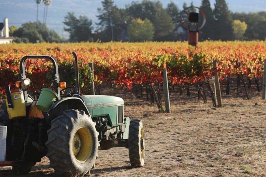 O'Brien Estate Vineyards 3
