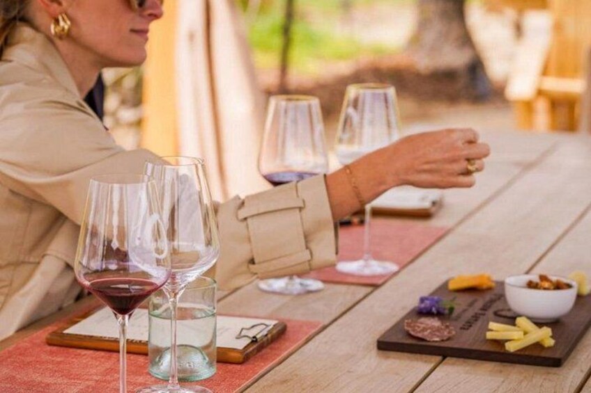 Wine Tasting 4
