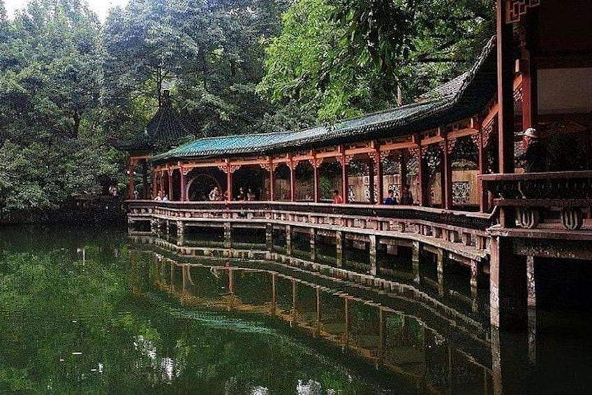 Chongqing Private Car Guided Tour City Walk:Must-sees All in One 4