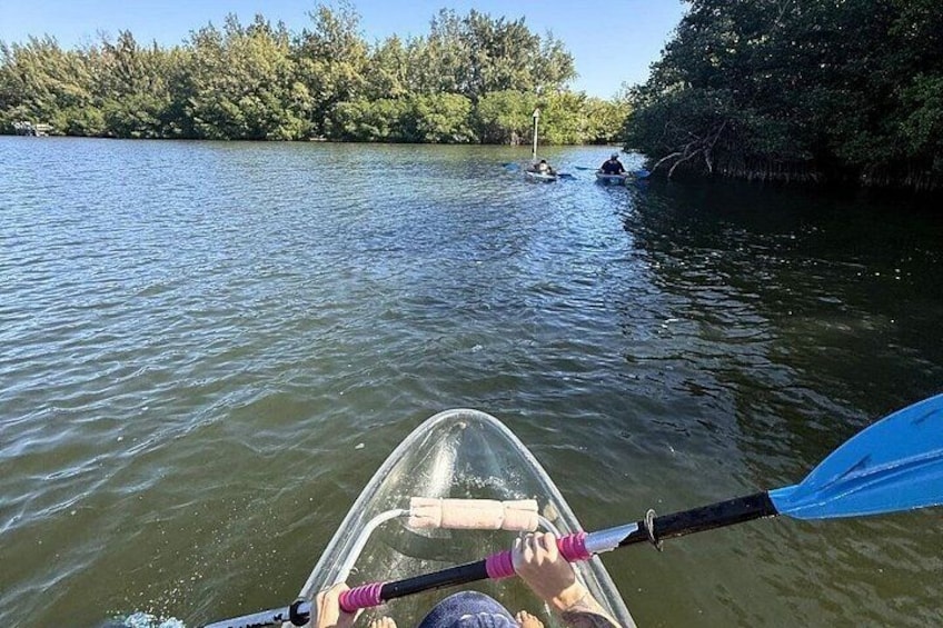 A kayak on a calm body of water with a forested shoreline in the background. 2