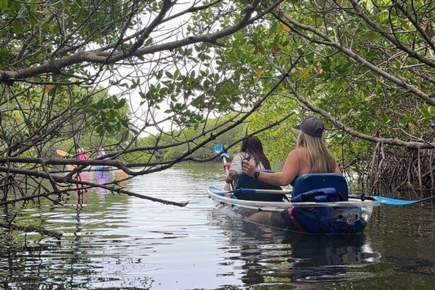 Two people in a small boat on a calm water body surrounded by mangrove trees. 5
