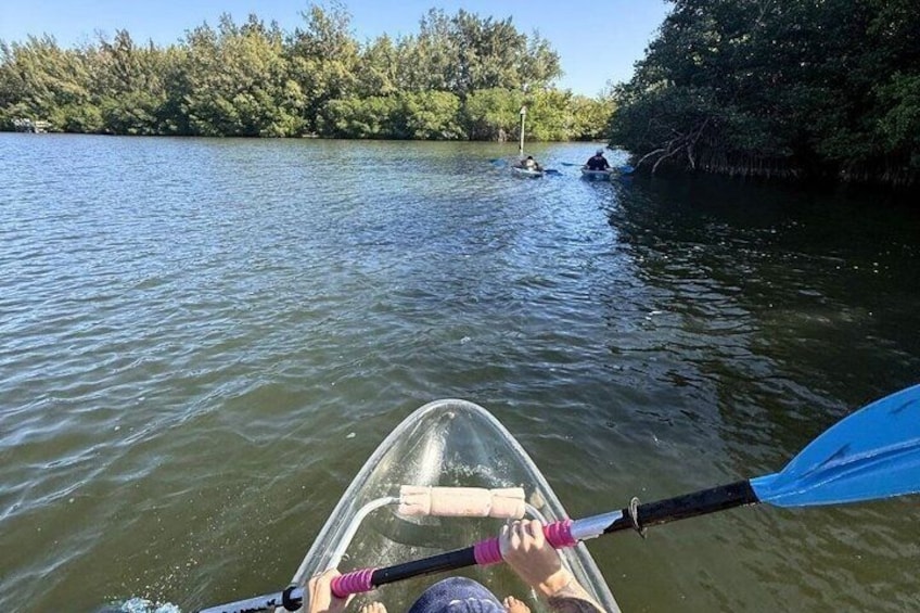 A kayak on a calm river with dense trees on the banks. 2