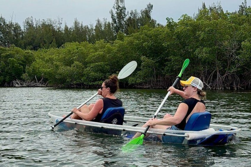 Two people paddling in a small boat on a body of water with dense vegetation in the background. 4