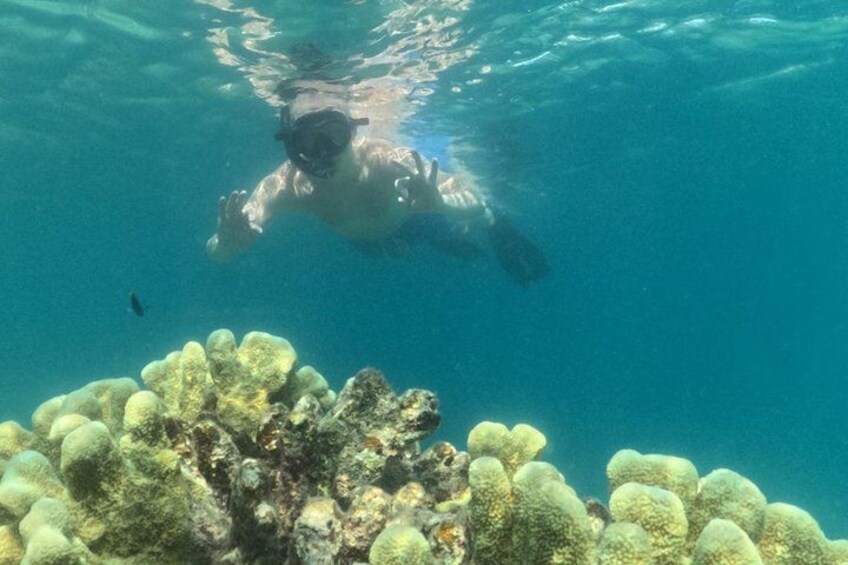 7 Secret Gilis: Private Snorkeling Escape to Hidden Paradise 2