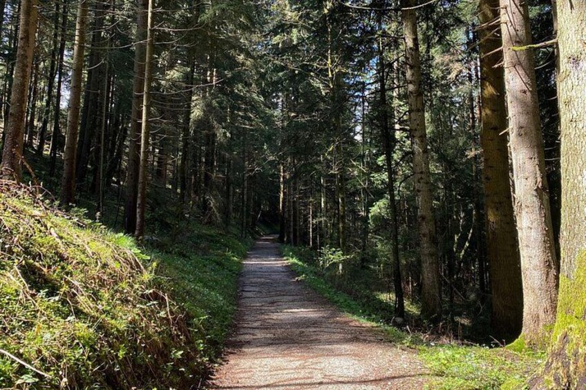 Conquer wide forest roads on an e-bike, leading to the Kehlsteinhaus - Eagle's Nest. 2