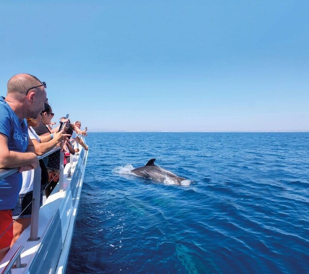 Picture 8 for Activity Albufeira: Dolphins & Caves Catamaran with Marine Biologist 5