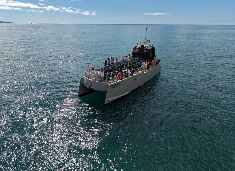 Picture 2 for Activity From Albufeira: Dolphins and Caves 2.5-Hour Boat Trip 4
