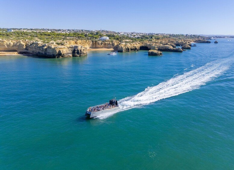 Picture 1 for Activity Albufeira: Dolphins & Caves Catamaran with Marine Biologist 4