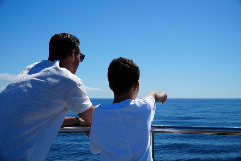 Picture 6 for Activity From Albufeira: Dolphins and Caves 2.5-Hour Boat Trip 3