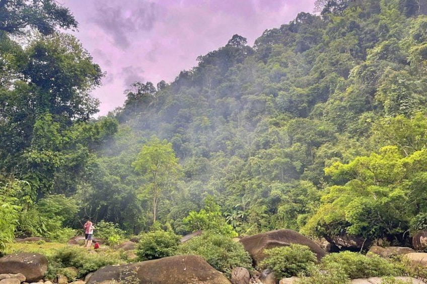 A lush green forest with a person standing on a rock. 4