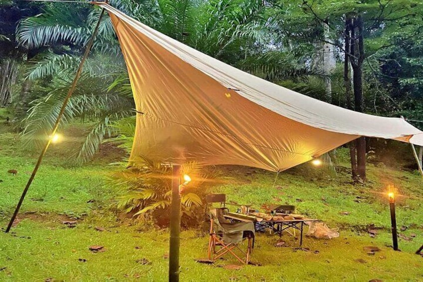 Experience Khao Sok Jungle Escape Half Day Half Night 1