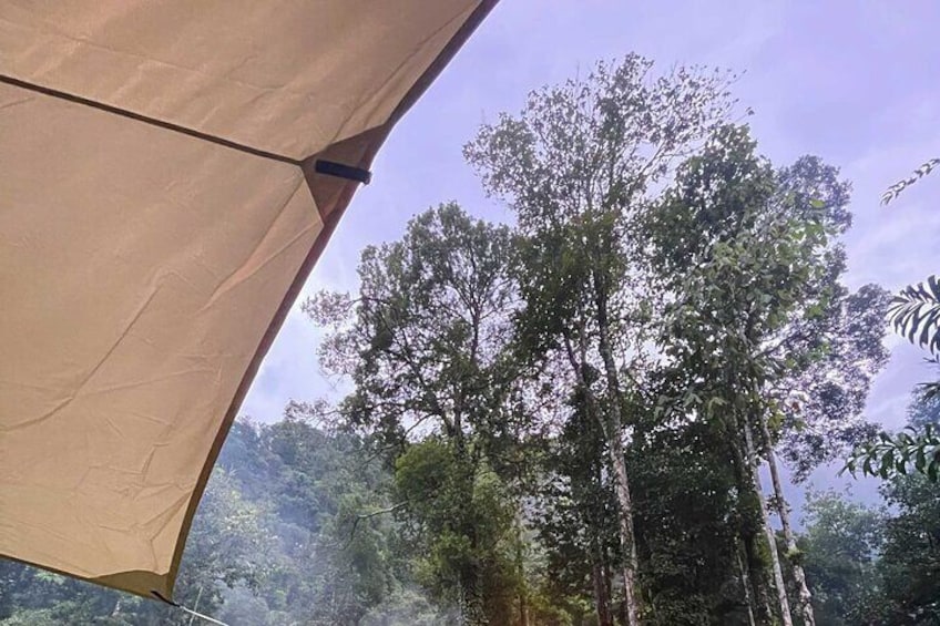 Experience Khao Sok Jungle Escape Half Day Half Night 4