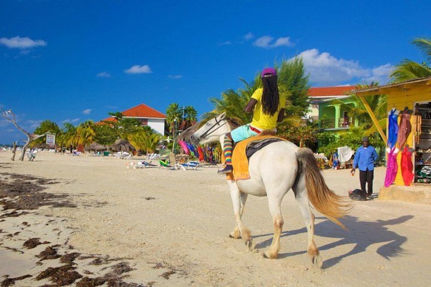 Private Seven Mile Beach and Rick’s Café Tour From Negril Hotels 4