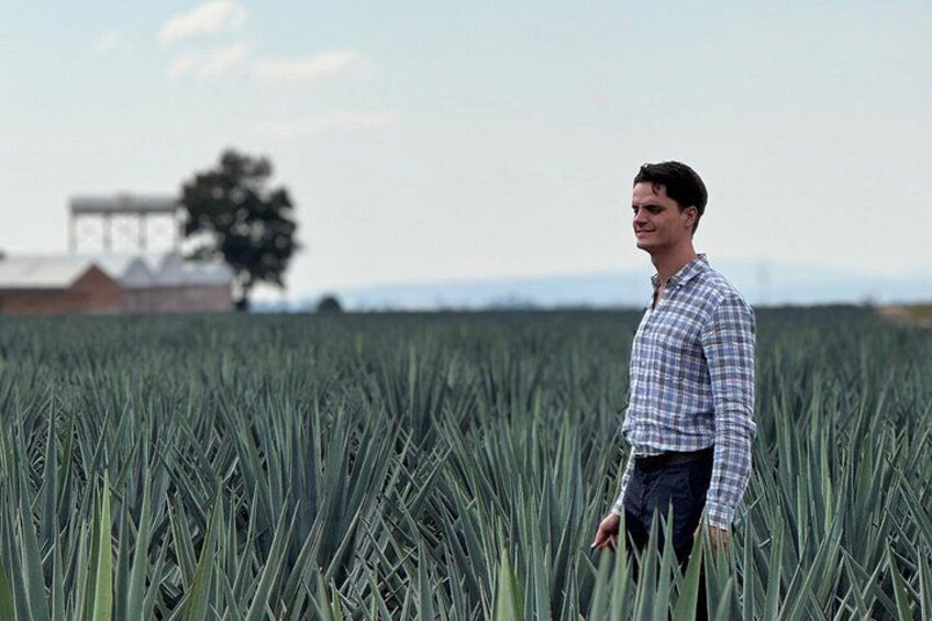 A person standing in a field of tall crops, with a building and a tree in the background. 2