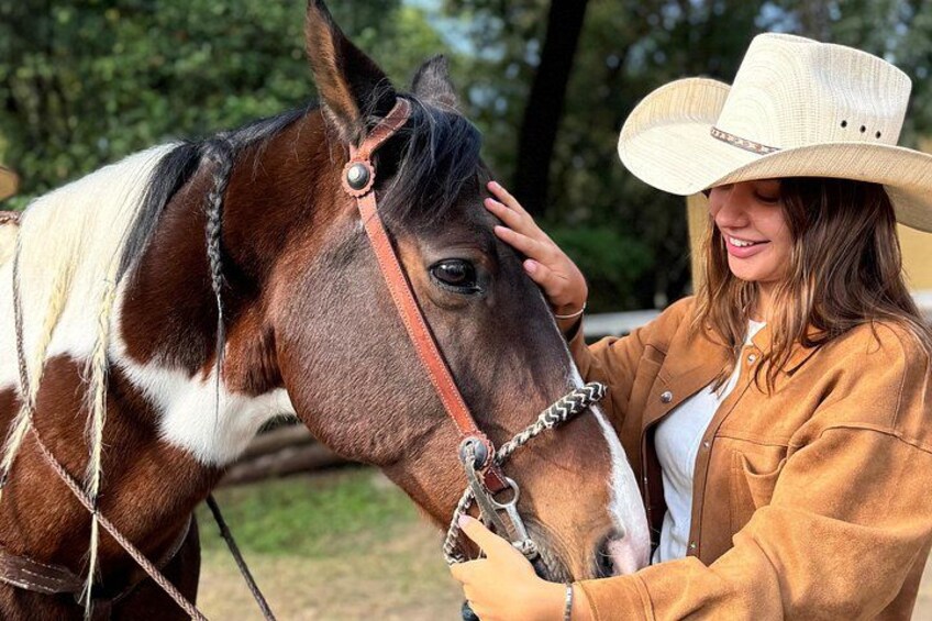 A person in a cowboy hat and jacket petting a horse. 1