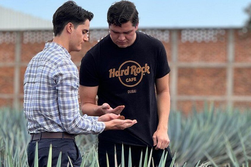 Two men in a field with one wearing a Hard Rock Cafe t-shirt. 4