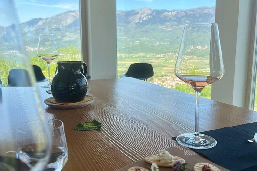Vipava Valley Scenic Private Tour & Wine Tasting from Ljubljana 5