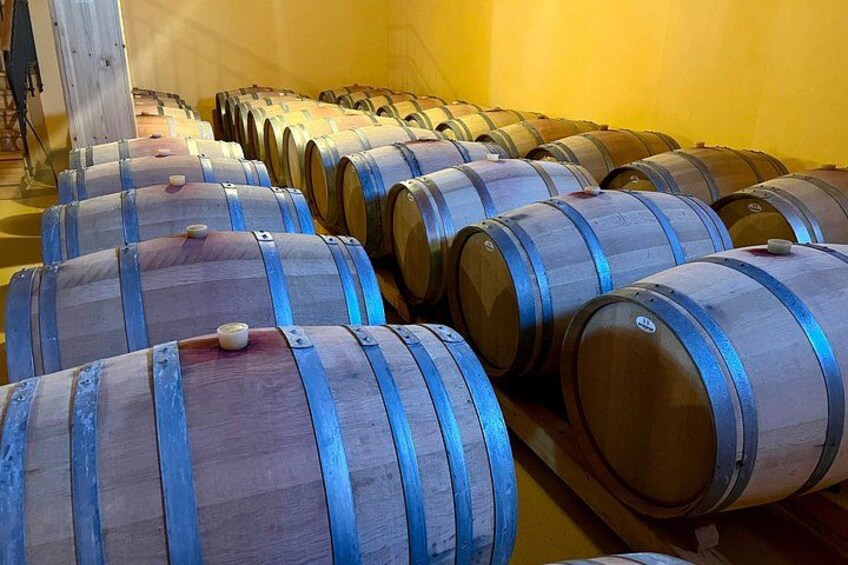 Vipava Valley Scenic Private Tour & Wine Tasting from Ljubljana 4
