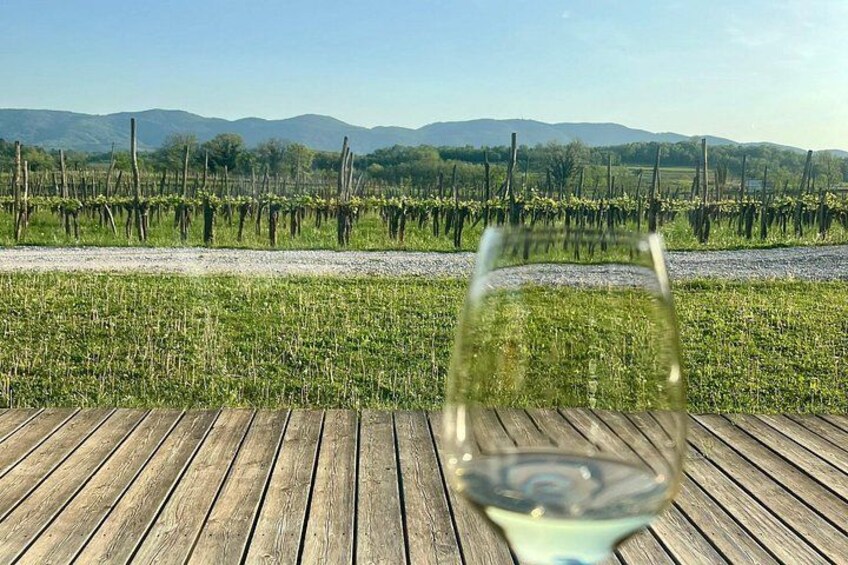 Vipava Valley Scenic Private Tour & Wine Tasting from Ljubljana 2