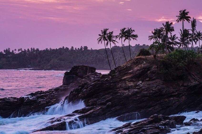 From Colombo Enchanting Southern Sri Lanka Tour 2