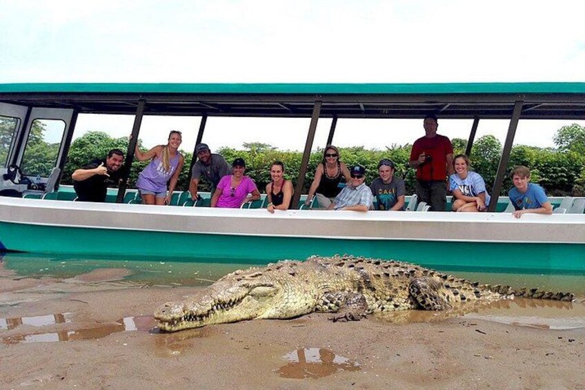 A group of people on a boat observing a large crocodile on a muddy shore. 2