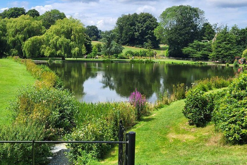A serene lake surrounded by lush greenery, a grassy path, and a variety of trees. 2