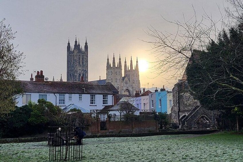 Solly's Orchard, Canterbury 2