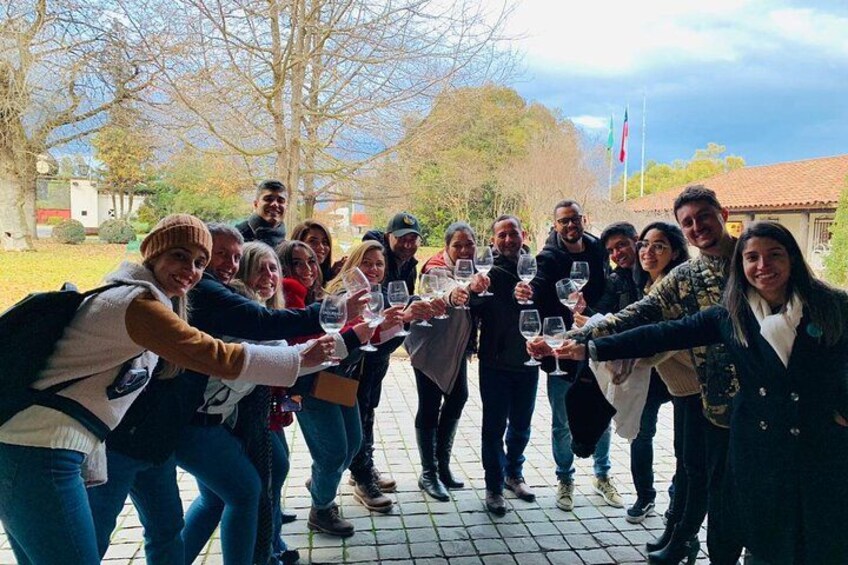 A group of people toasting with wine glasses in an outdoor setting with trees and a building in the background. 4