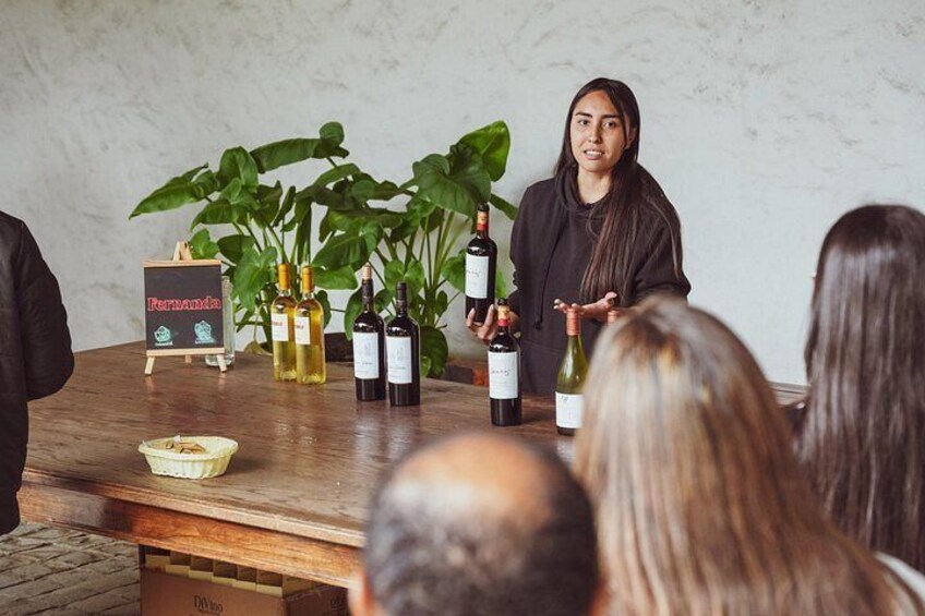 Une personne présentant des bouteilles de vin à un public. 3