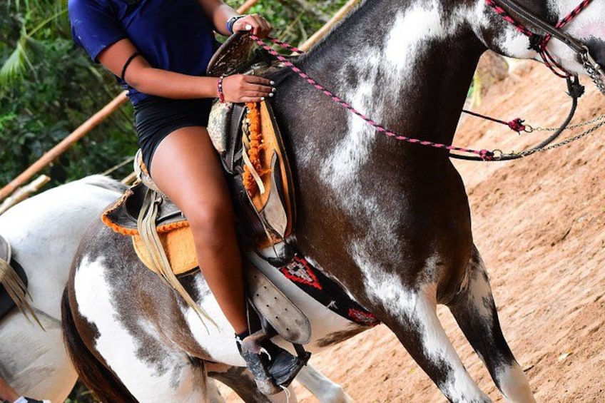 A person riding an elephant with a saddle, in a natural setting with trees and dirt ground. 4