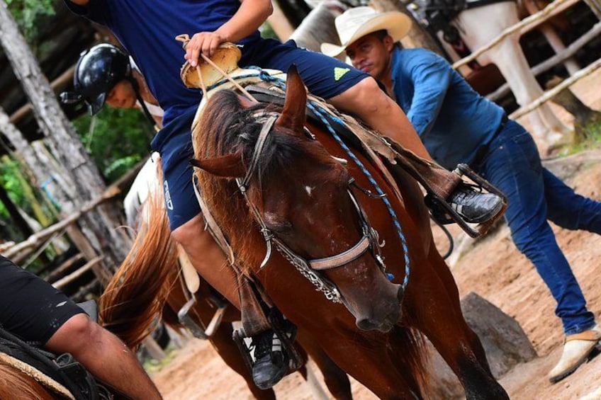 A person riding a horse with a bridle and saddle, surrounded by other people and a wooden fence. 5