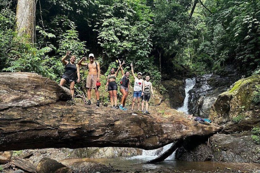 A group of people standing on a log over a waterfall in a forest. 1