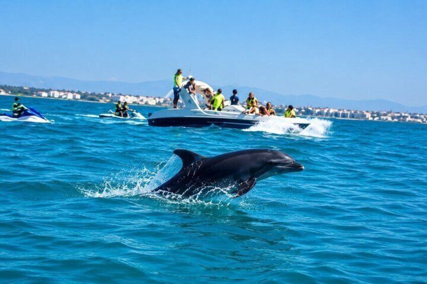 A dolphin jumping out of the water near a boat with people on it. 2