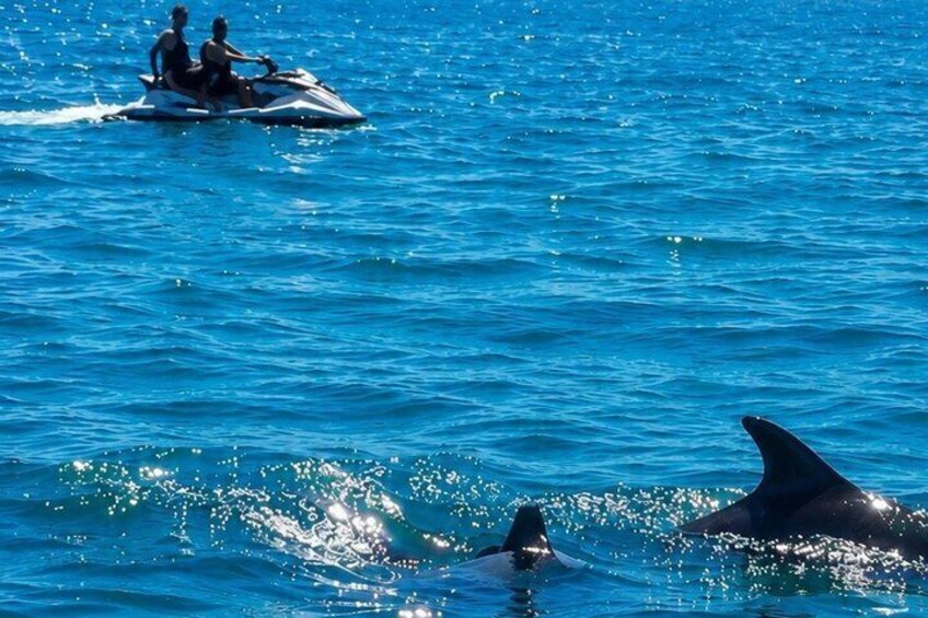 A jet ski with two people, dolphins, and clear blue water. 3